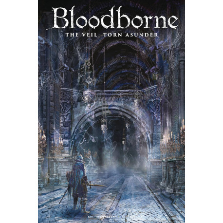 BLOODBORNE 14 CVR C GAME ART