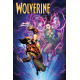 WOLVERINE ANNUAL 1 