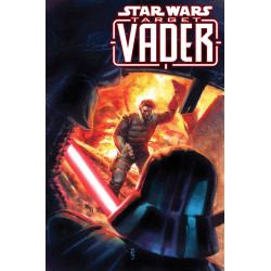 STAR WARS TARGET VADER 3