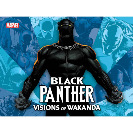 BLACK PANTHER HC VISIONS OF WAKANDA 