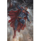 ACTION COMICS 1017 CARD STOCK VAR ED YOTV