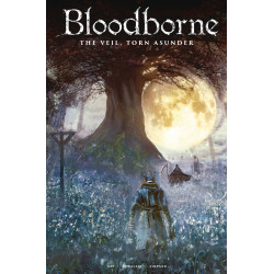 BLOODBORNE 16 CVR C GAME ART