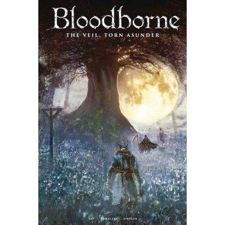 BLOODBORNE 16 CVR C GAME ART