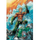 AQUAMAN A CELEBRATION OF 75 YEARS HC 