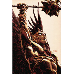 HAWKMAN 19 VAR ED