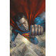 ACTION COMICS 1020 CARD STOCK L PARRILLO VAR ED