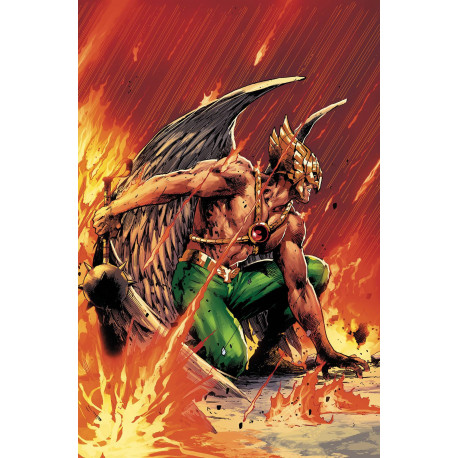 HAWKMAN 21 GERARDO ZAFFINO VAR ED