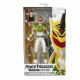 MIGHTY MORPHIN LORD DRAKKON RANGER POWER RANGERS LIGHTNING COLLECTION ACTION FIGURE 15 CM