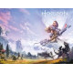 HORIZON ZERO DAWN 2 CVR B GAME ART WRAP