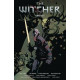 WITCHER OMNIBUS TP VOL 1