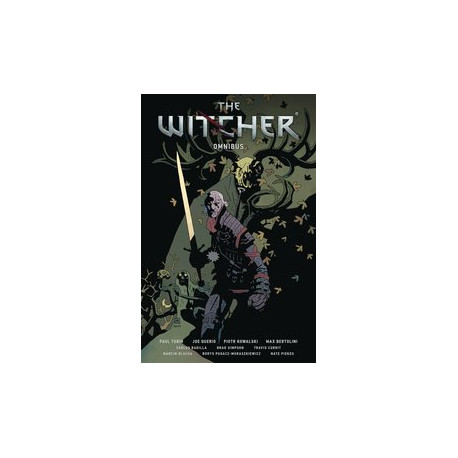 WITCHER OMNIBUS TP VOL 1