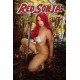 RED SONJA 23 CVR E LYONS COSPLAY