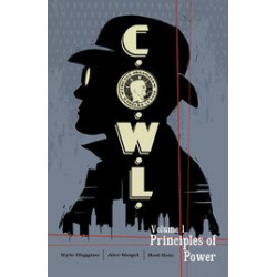 COWL TP VOL 1 PRINCIPLES OF POWER