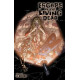 ESCAPE LIVING DEAD ORIGINAL GORE COVERS SET 5CT 