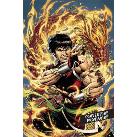 SHANG-CHI : LUTTE FRATERNELLE