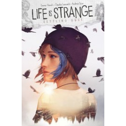 LIFE IS STRANGE SETTLING DUST 2 CVR B GAME ART