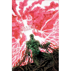 THE SWAMP THING 10 OF 10 