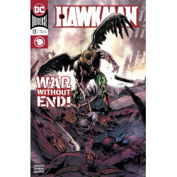 HAWKMAN #13