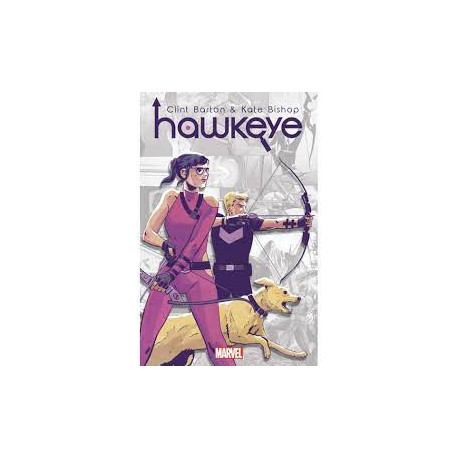 MARVEL-VERSE: HAWKEYE