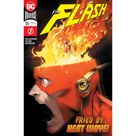 FLASH 55