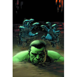 INDESTRUCTIBLE HULK 4 NOW2