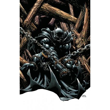 BATMAN THE DARK KNIGHT 13