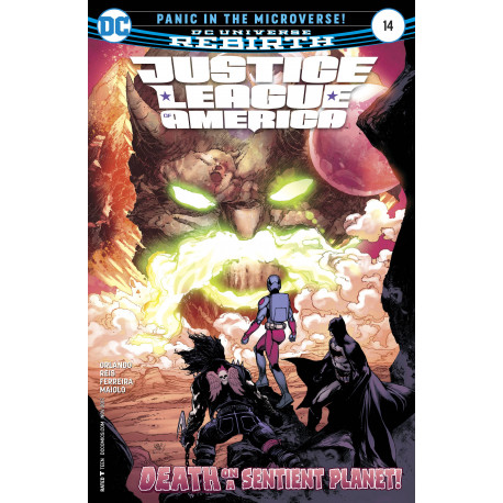 JUSTICE LEAGUE OF AMERICA 14