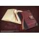 GRYFFINDOR HARRY POTTER DIARY