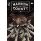 TALES FROM HARROW COUNTY LOST ONES 3 CVR A SCHNALL