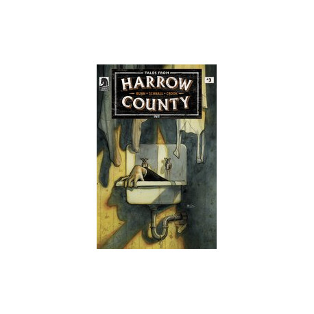 TALES FROM HARROW COUNTY LOST ONES 3 CVR B CROOK