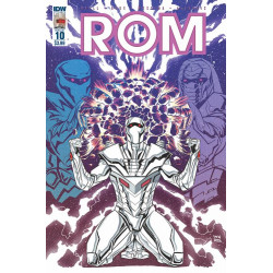 ROM 10