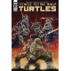 TMNT ONGOING 133 CVR A PENICHE