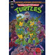 TMNT SATURDAY MORNING ADVENTURES 1 CVR A LATTIE