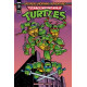 TMNT SATURDAY MORNING ADVENTURES 1 CVR C