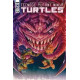 TMNT ONGOING CVR A FERO PE