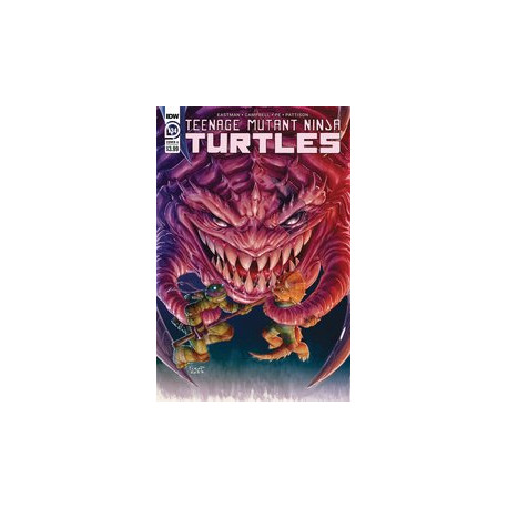 TMNT ONGOING CVR A FERO PE