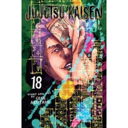 JUJUTSU KAISEN GN VOL 18