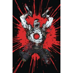 BLOODSHOT UNLEASHED 4 CVR E PREORDER BUNDLE ED