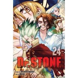 DR STONE GN VOL 24