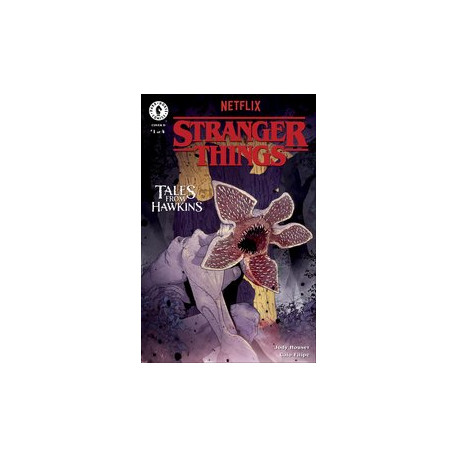 STRANGER THINGS TALES FROM HAWKINS 1 CVR D LUCKERT