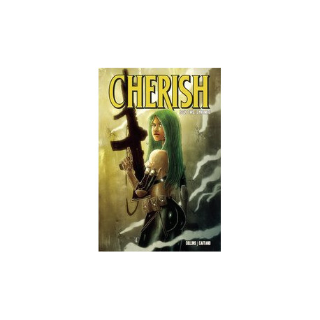 CHERISH 4 CVR B TEMPLESMITH