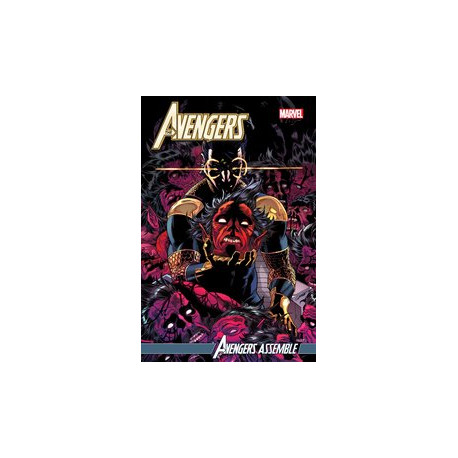 AVENGERS 66