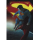 SUPERMAN 1 CVR E RICCARDO FEDERICI CARD STOCK VAR