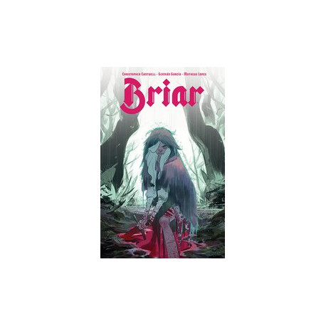 BRIAR TP VOL 1