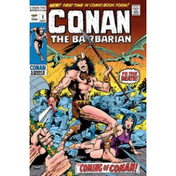 CONAN BARBARIAN ORIGINAL OMNI REG GN VOL 1