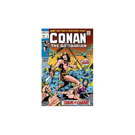 CONAN BARBARIAN ORIGINAL OMNI REG GN VOL 1