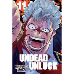 UNDEAD UNLUCK GN VOL 11