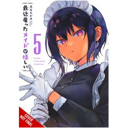 MAID I HIRED RECENTLY IS MYSTERIOUS GN VOL 5