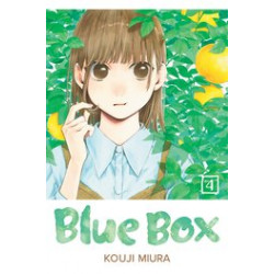 BLUE BOX GN VOL 4