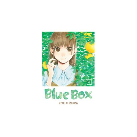 BLUE BOX GN VOL 4